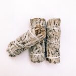 Valge Salvei tõrvik (10 cm) - Image 2