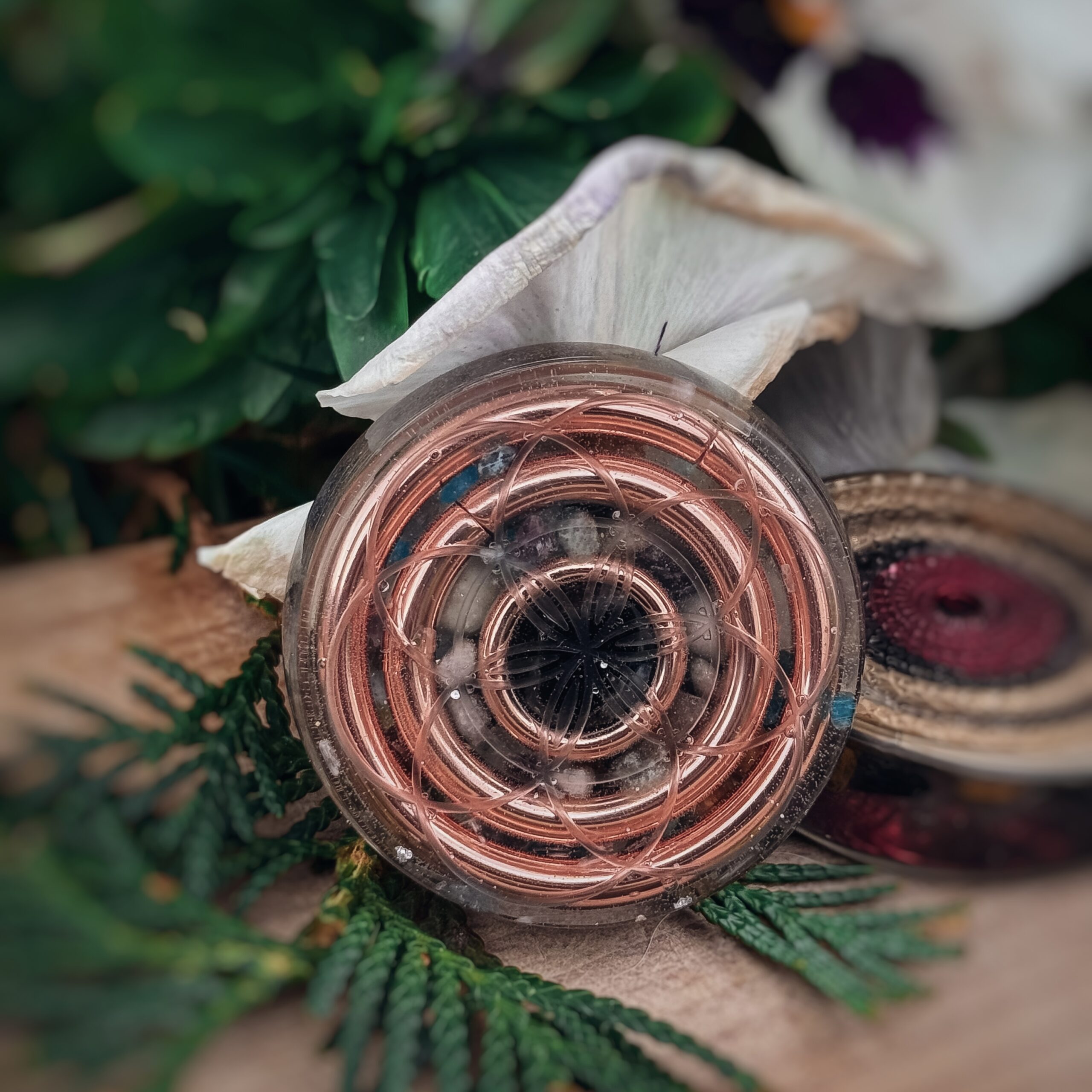 orgoniit-must Taskuorgoniit Rose Gold - Image 1