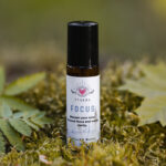 Roll-on blend “Focus"