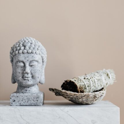 Sinise Salvei tõrvik (10 cm)