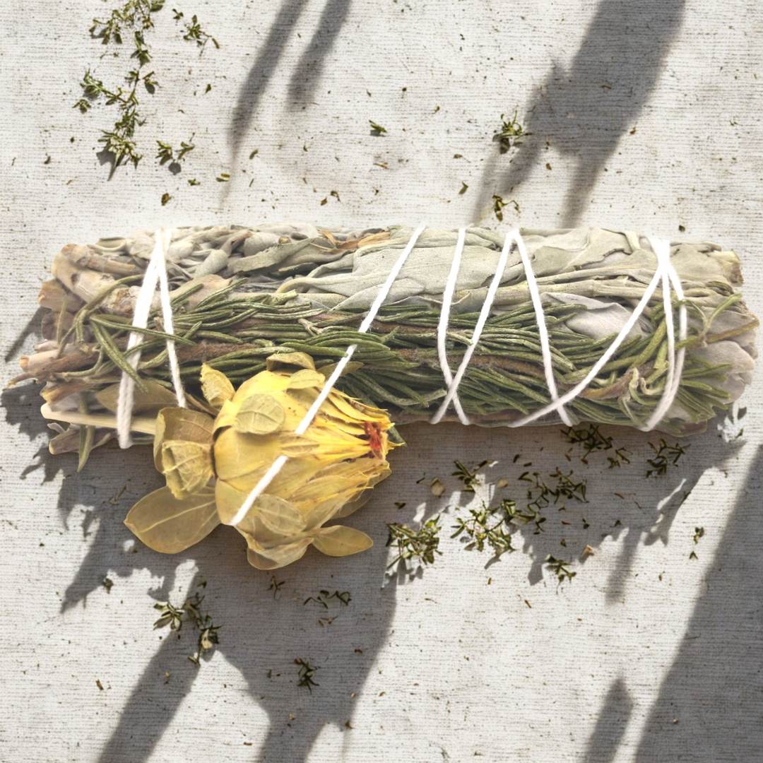 56 Rahuenergia salvei tõrvik (10 cm) - Image 1