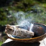 Rahuenergia salvei tõrvik (10 cm) - Image 2